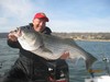 (02/10/2017) - Nice Striped Bass